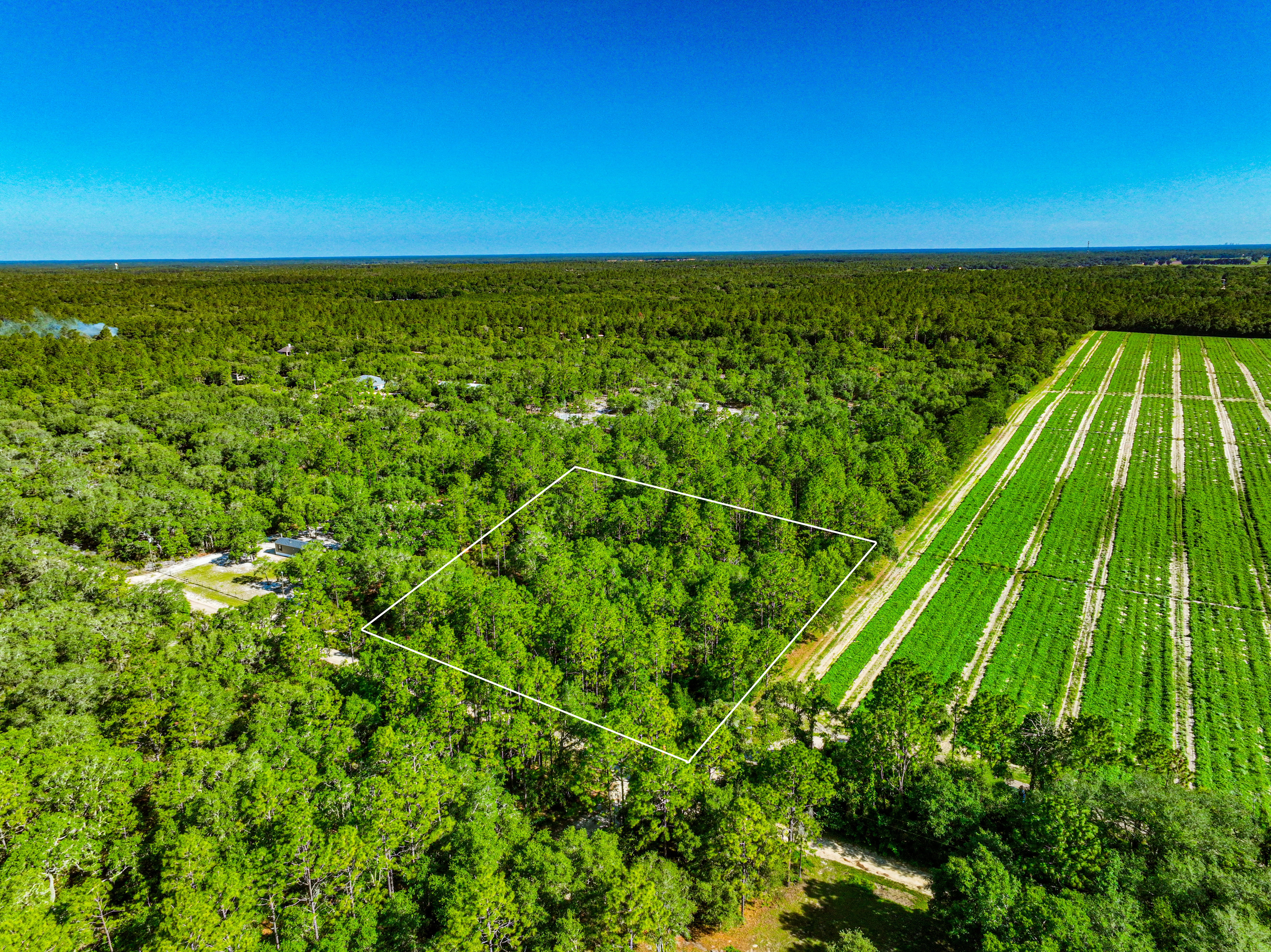 Pristine 2.5 Acre Lot in the Developing Levy County, FL