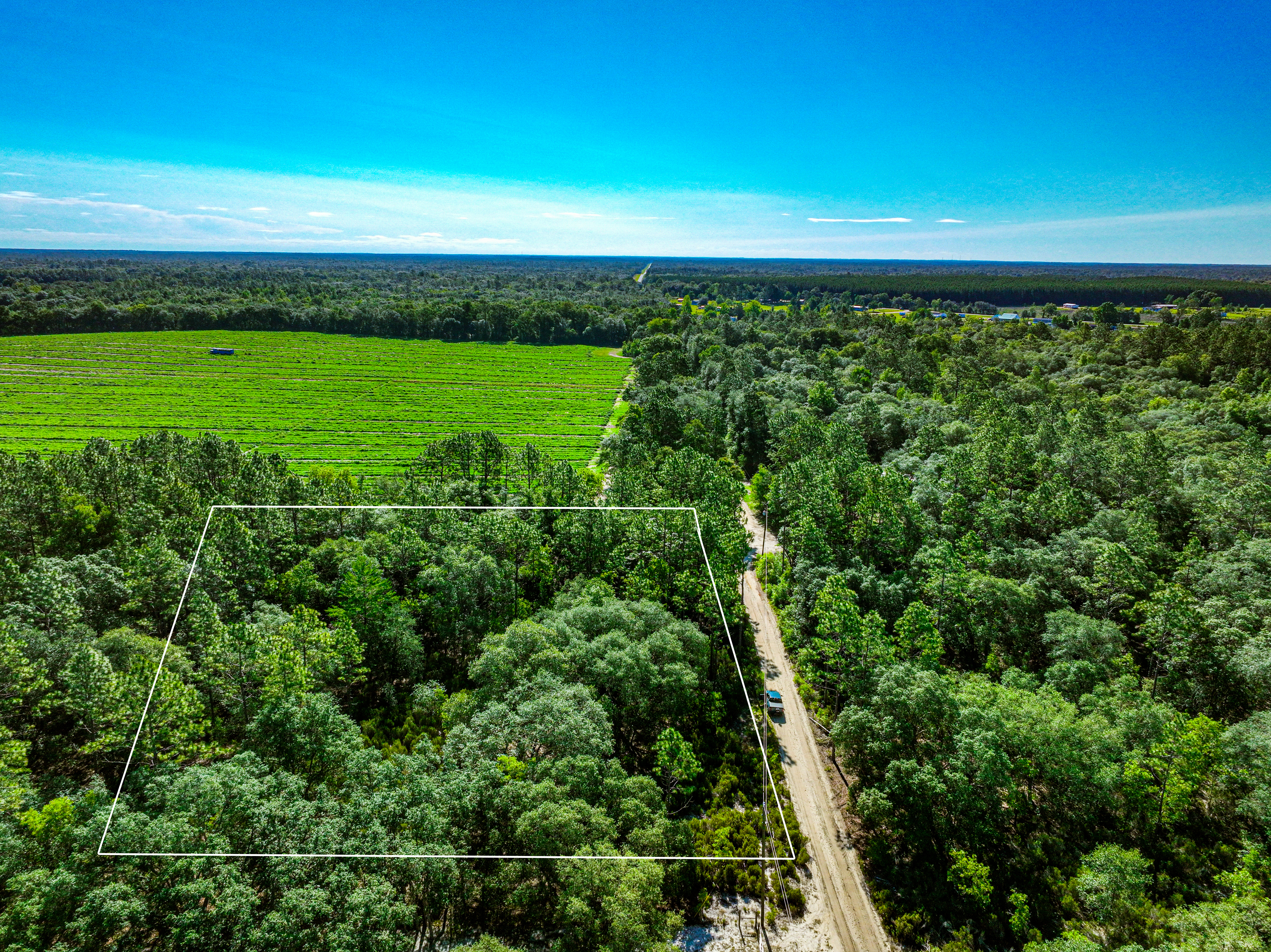 Pristine 2.5 Acre Lot in the Developing Levy County, FL
