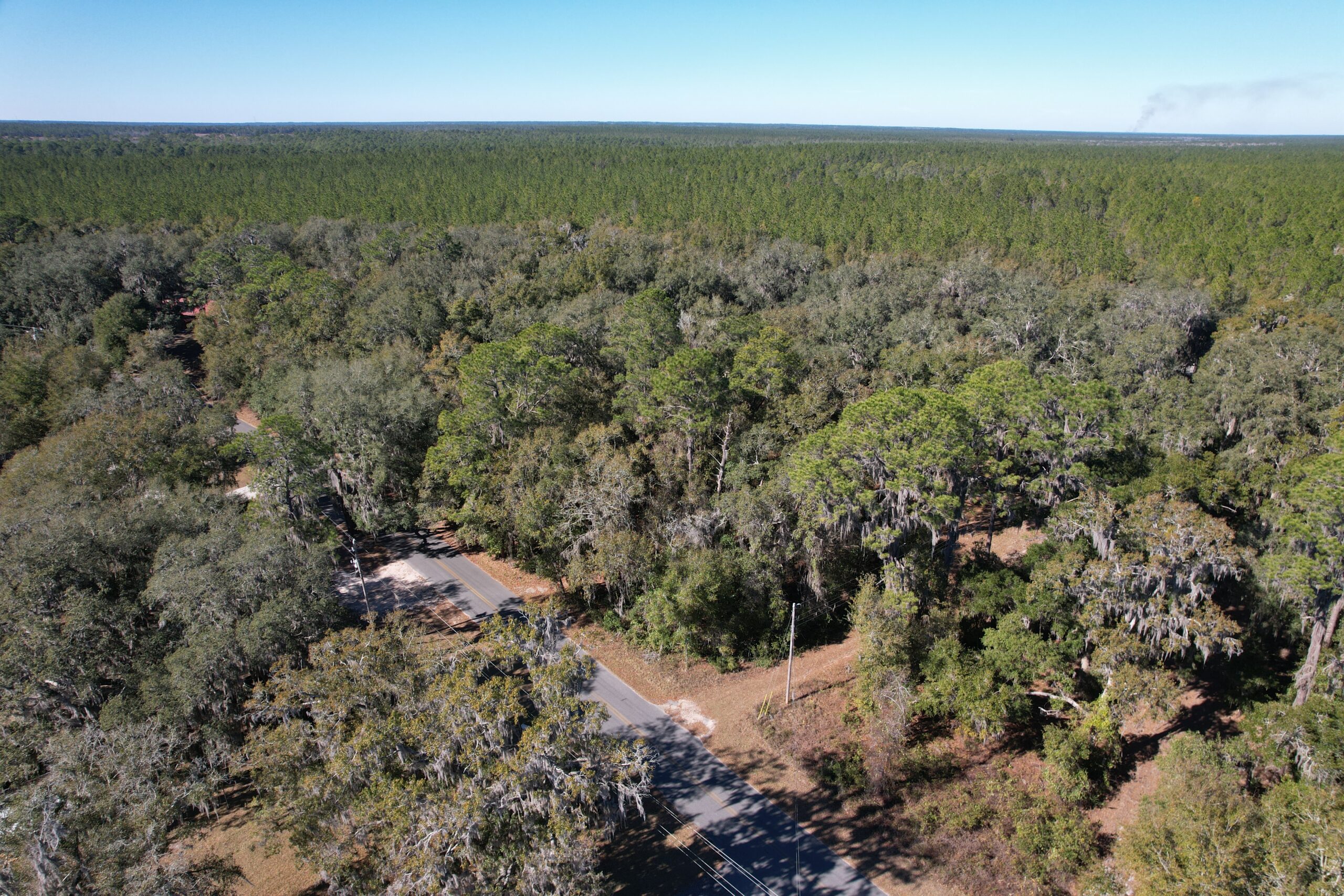 Serene 0.24 acres in Florahome, FL