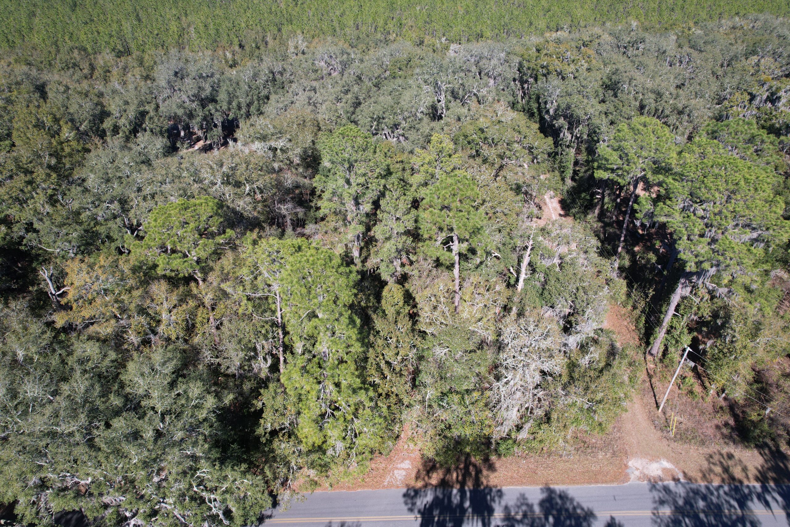 Serene 0.24 acres in Florahome, FL