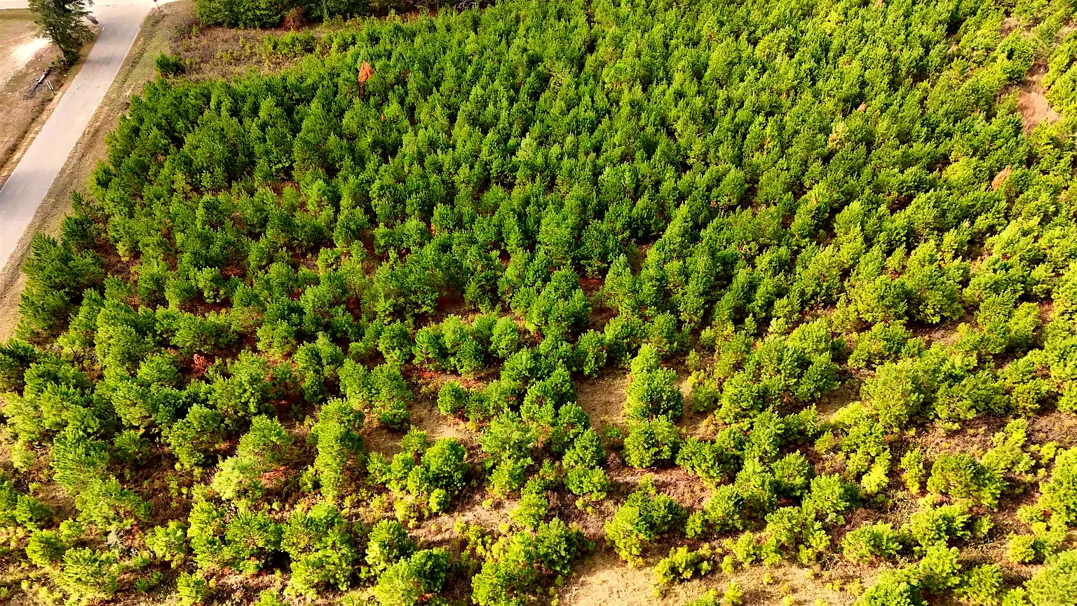 7 acres in Gadsden County, FL