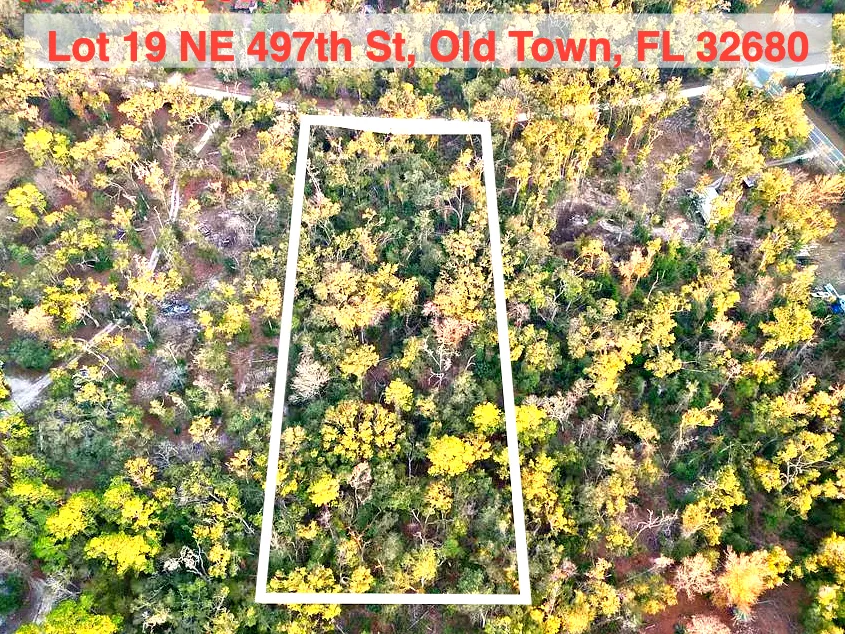 Lot 19 NE 497th St, Old Town, FL 32680