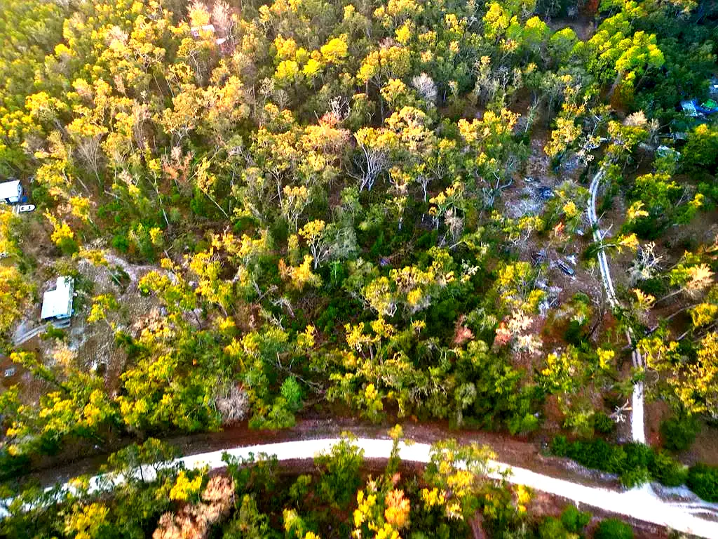 Lot 19 NE 497th St, Old Town, FL 32680