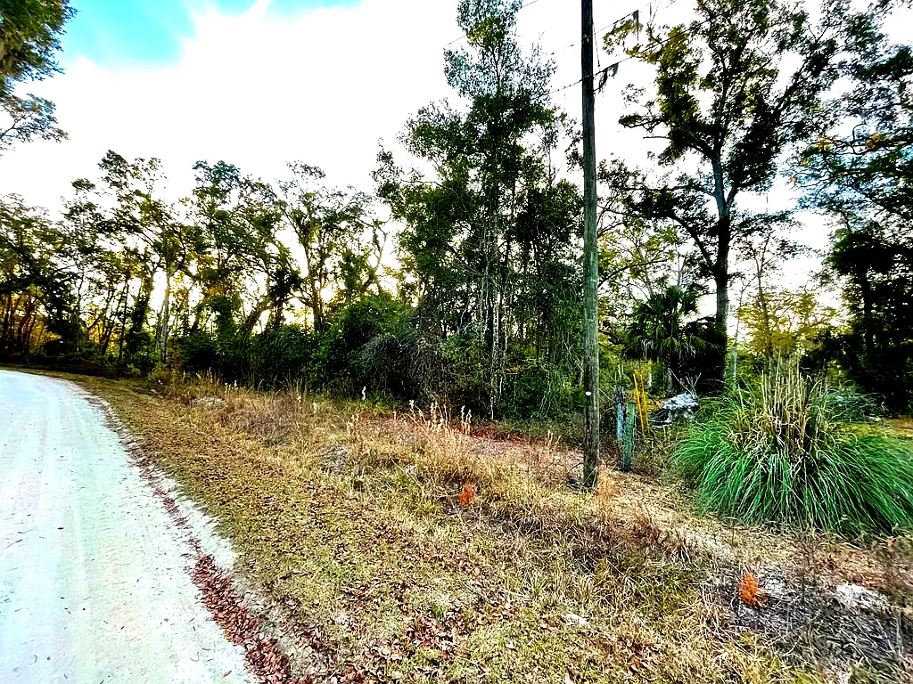 Lot 19 NE 497th St, Old Town, FL 32680