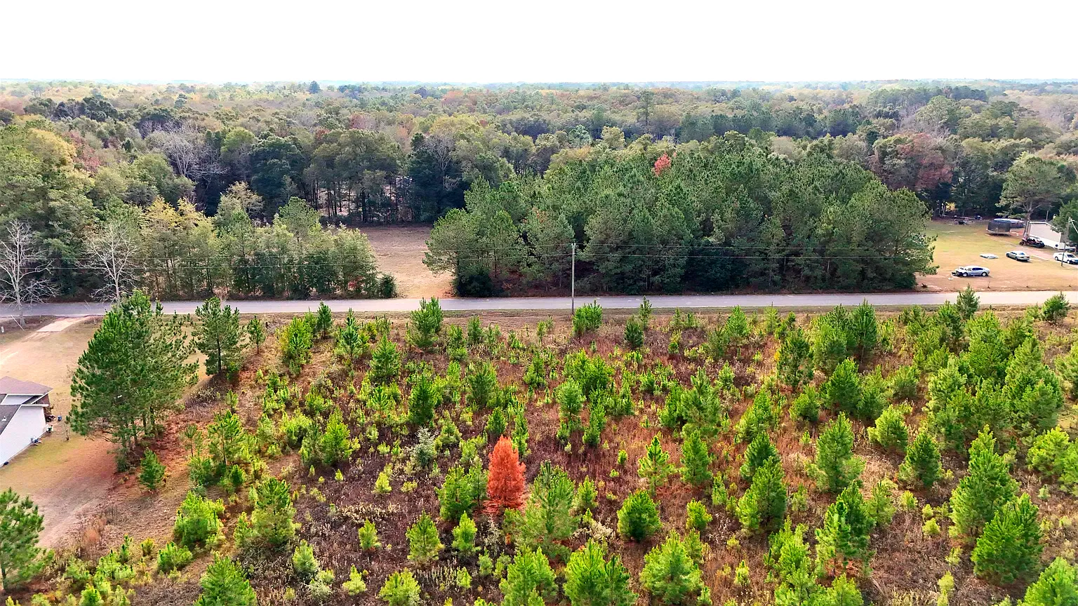 7 acres in Gadsden County, FL