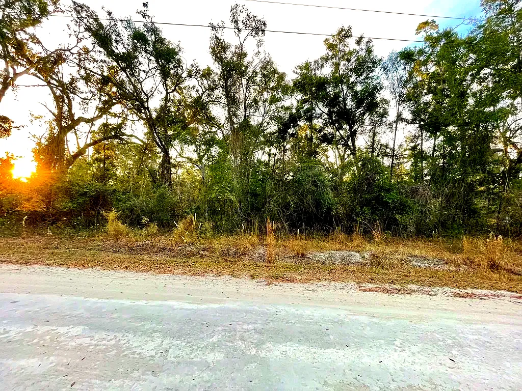 Lot 19 NE 497th St, Old Town, FL 32680